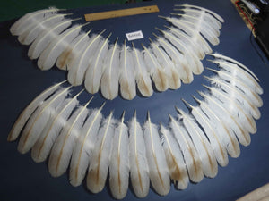 40 Pcs Turkey Wing Feathers, Fly Tying Material,Craft Feathers,Natural Turkey Feathers (2069)