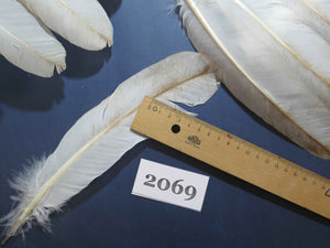 40 Pcs Turkey Wing Feathers, Fly Tying Material,Craft Feathers,Natural Turkey Feathers (2069)