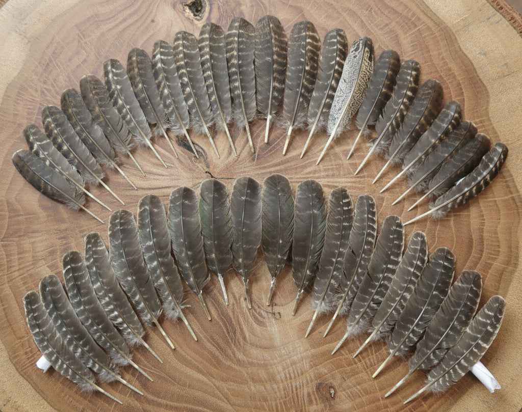 40 Pcs Turkey Wing Feathers, Fly Tying Material,Craft Feathers,Natural Turkey Feathers (2071)