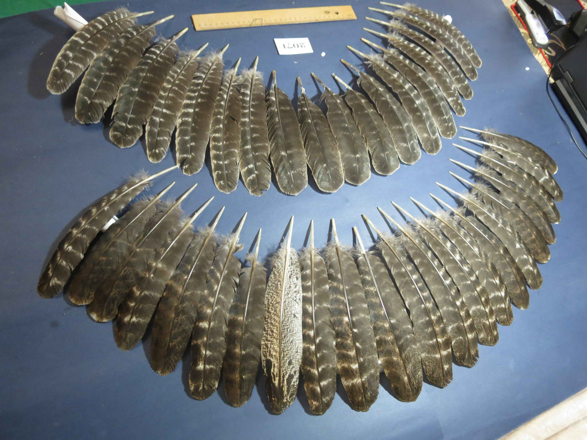 40 Pcs Turkey Wing Feathers, Fly Tying Material,Craft Feathers,Natural Turkey Feathers (2071)