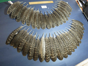 40 Pcs Turkey Wing Feathers, Fly Tying Material,Craft Feathers,Natural Turkey Feathers (2071)