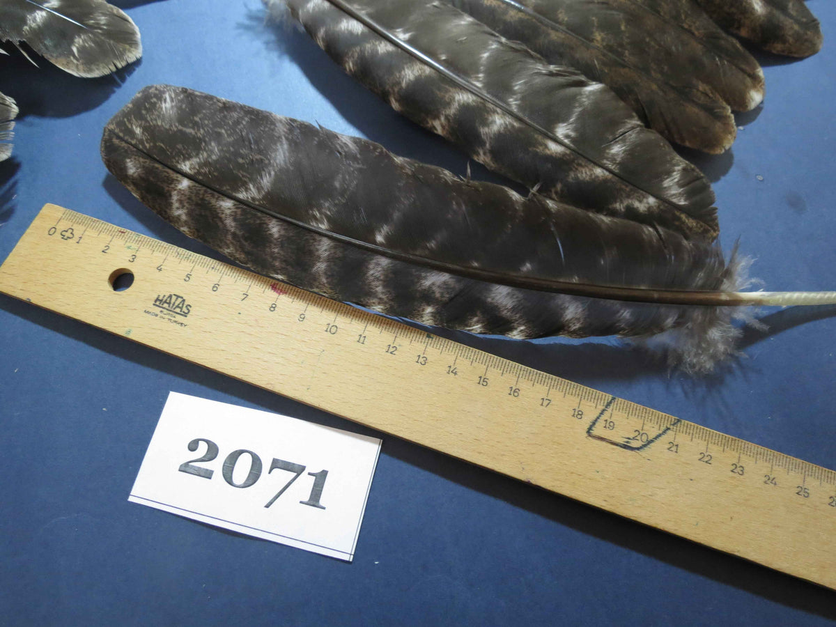 40 Pcs Turkey Wing Feathers, Fly Tying Material,Craft Feathers,Natural Turkey Feathers (2071)