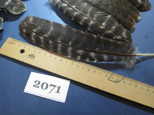 40 Pcs Turkey Wing Feathers, Fly Tying Material,Craft Feathers,Natural Turkey Feathers (2071)