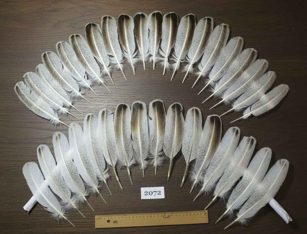36 Pcs Turkey Wing Feathers, Fly Tying Material,Craft Feathers,Natural Turkey Feathers (2072)