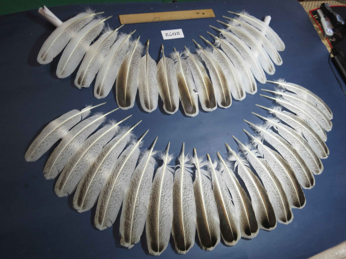 36 Pcs Turkey Wing Feathers, Fly Tying Material,Craft Feathers,Natural Turkey Feathers (2072)