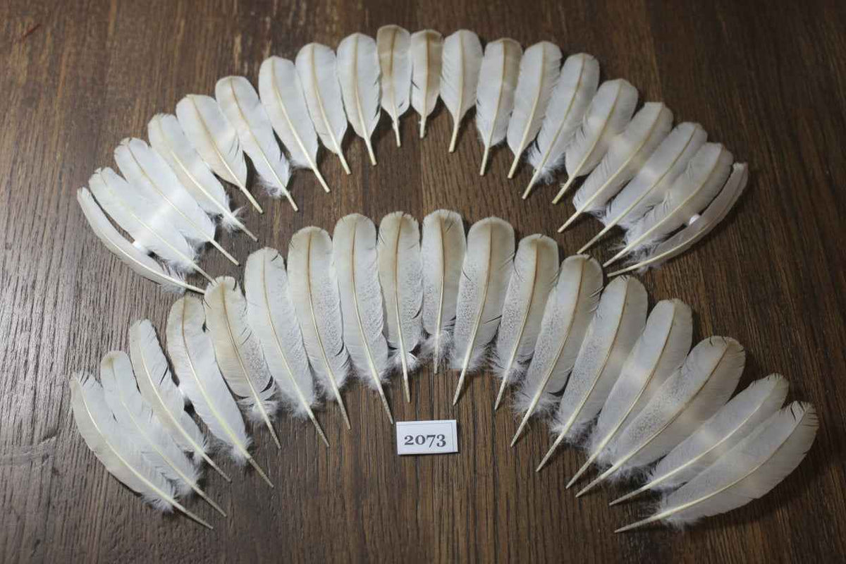 38 Pcs Turkey Wing Feathers, Fly Tying Material,Craft Feathers,Natural Turkey Feathers (2073)