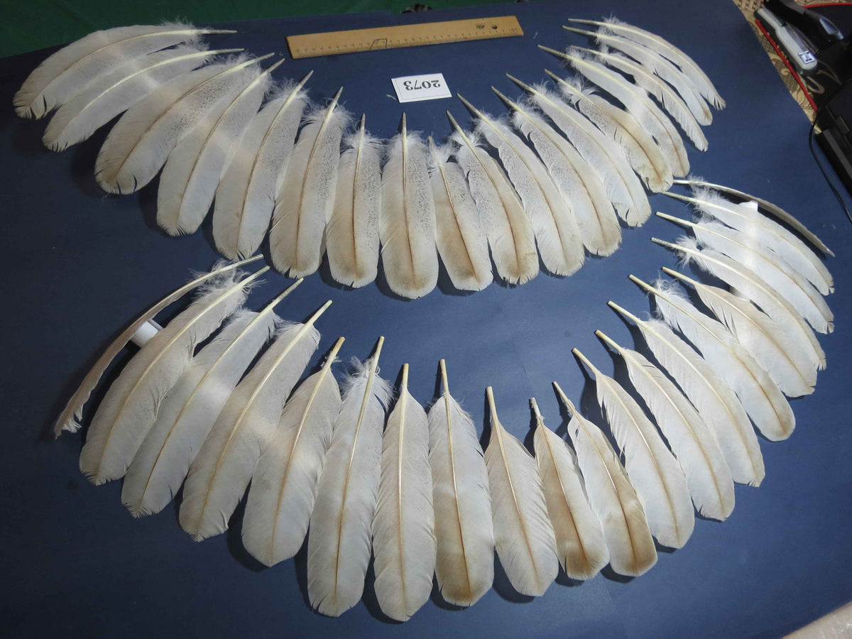 38 Pcs Turkey Wing Feathers, Fly Tying Material,Craft Feathers,Natural Turkey Feathers (2073)