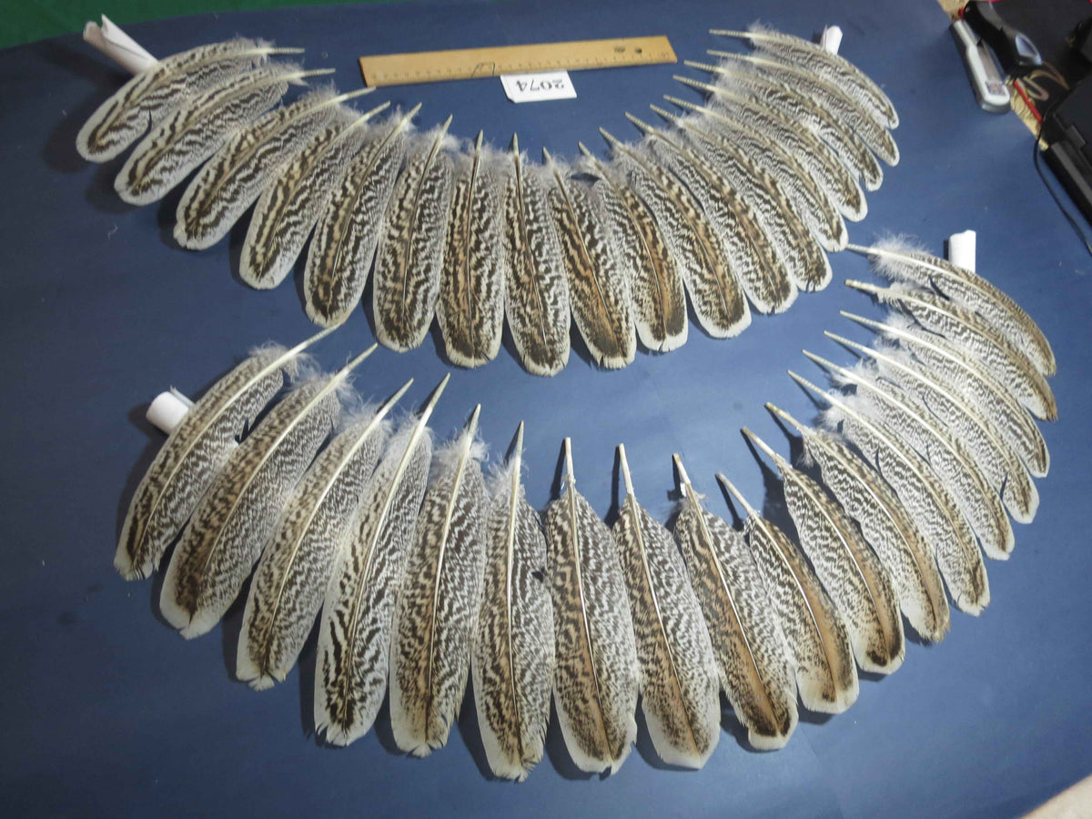 36 Pcs Turkey Wing Feathers, Fly Tying Material,Craft Feathers,Natural Turkey Feathers (2074)