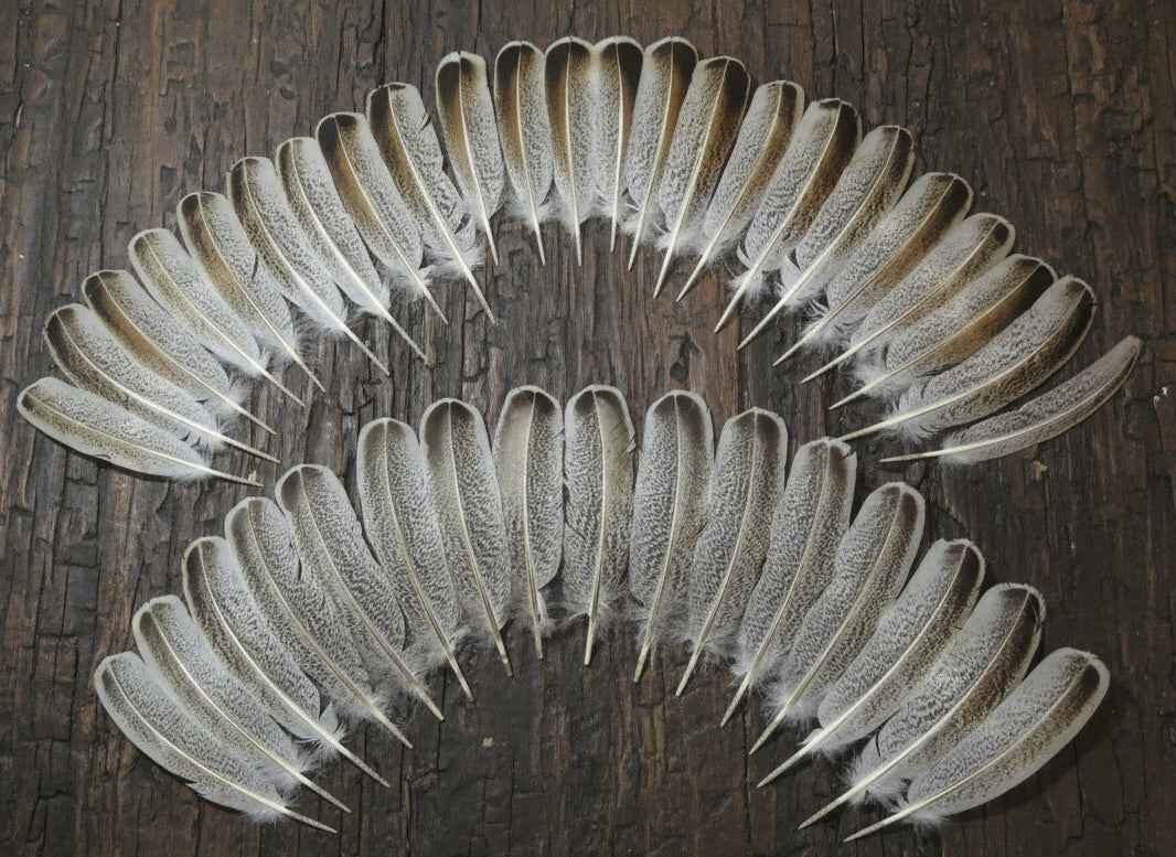 38 Pcs Turkey Wing Feathers, Fly Tying Material,Craft Feathers,Natural Turkey Feathers (2075)