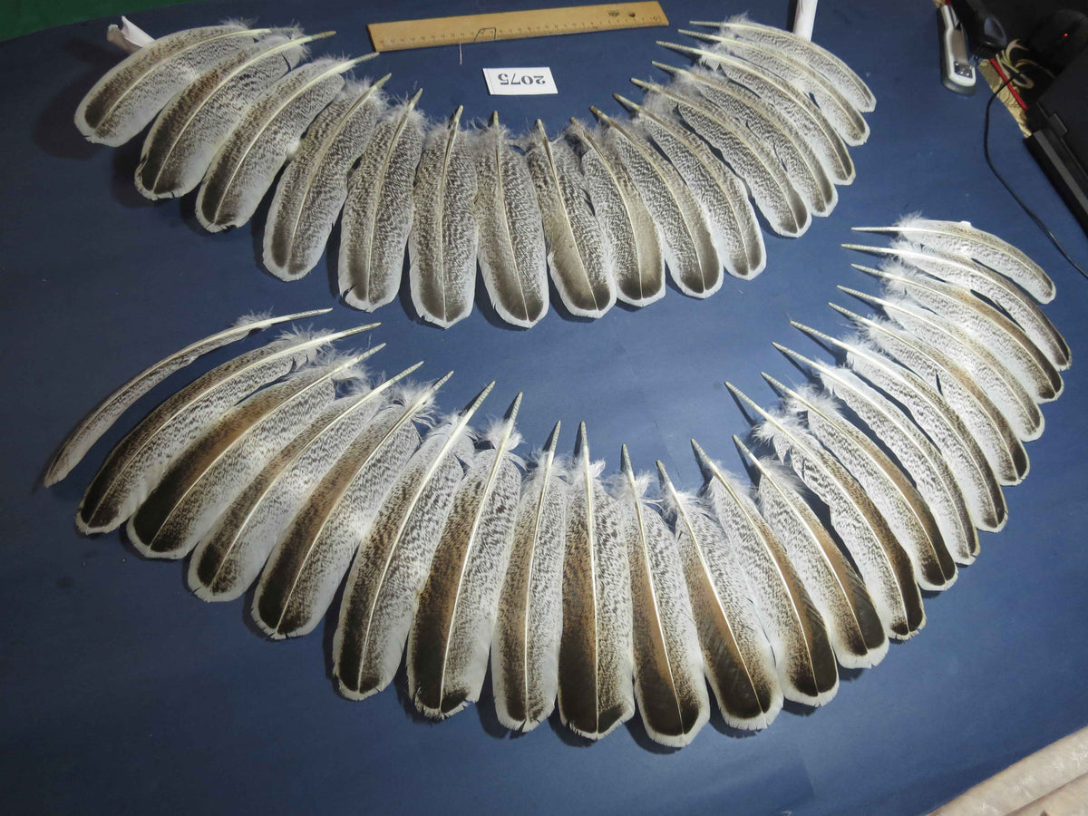 38 Pcs Turkey Wing Feathers, Fly Tying Material,Craft Feathers,Natural Turkey Feathers (2075)