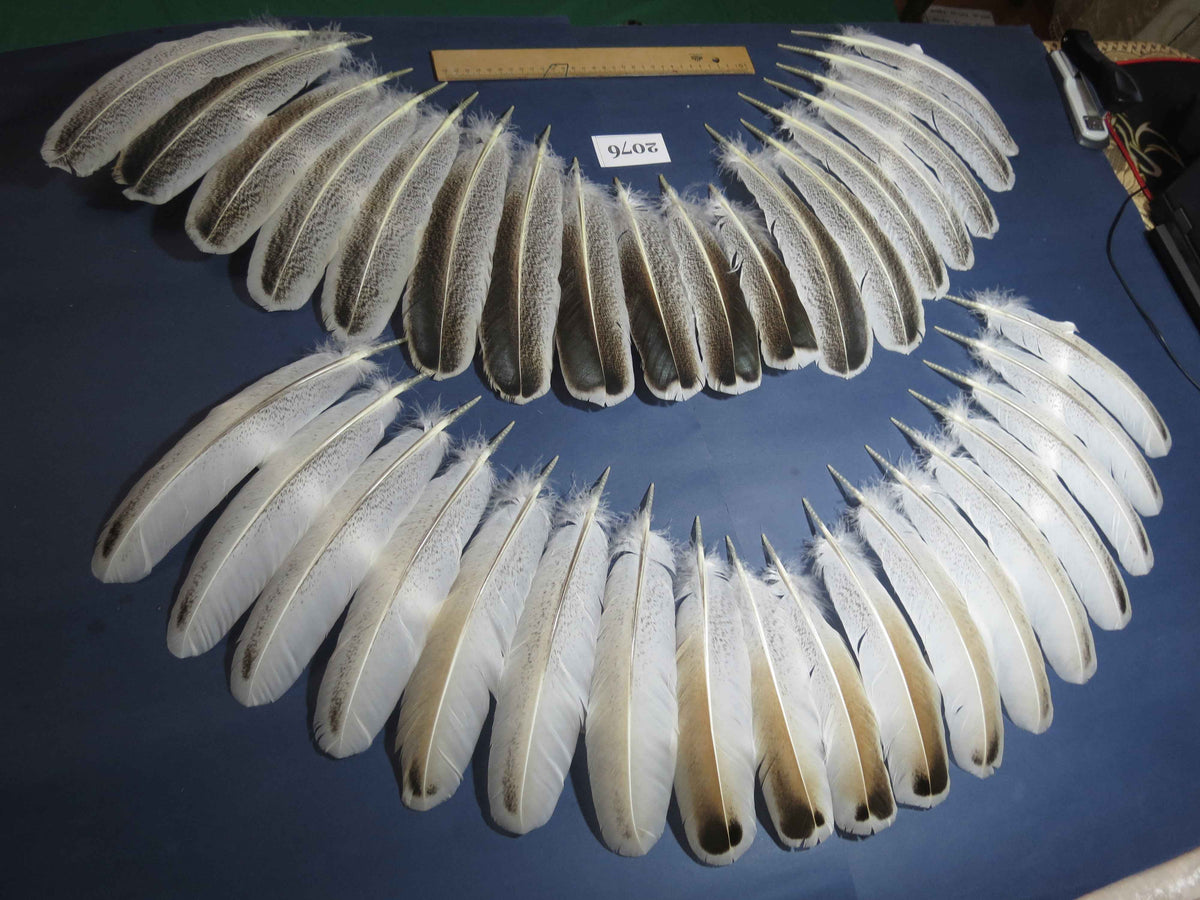 36 Pcs Turkey Wing Feathers, Fly Tying Material,Craft Feathers,Natural Turkey Feathers (2076)