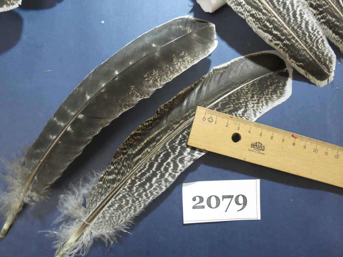 36 Pcs Turkey Wing Feathers, Fly Tying Material,Craft Feathers,Natural Turkey Feathers (2079)