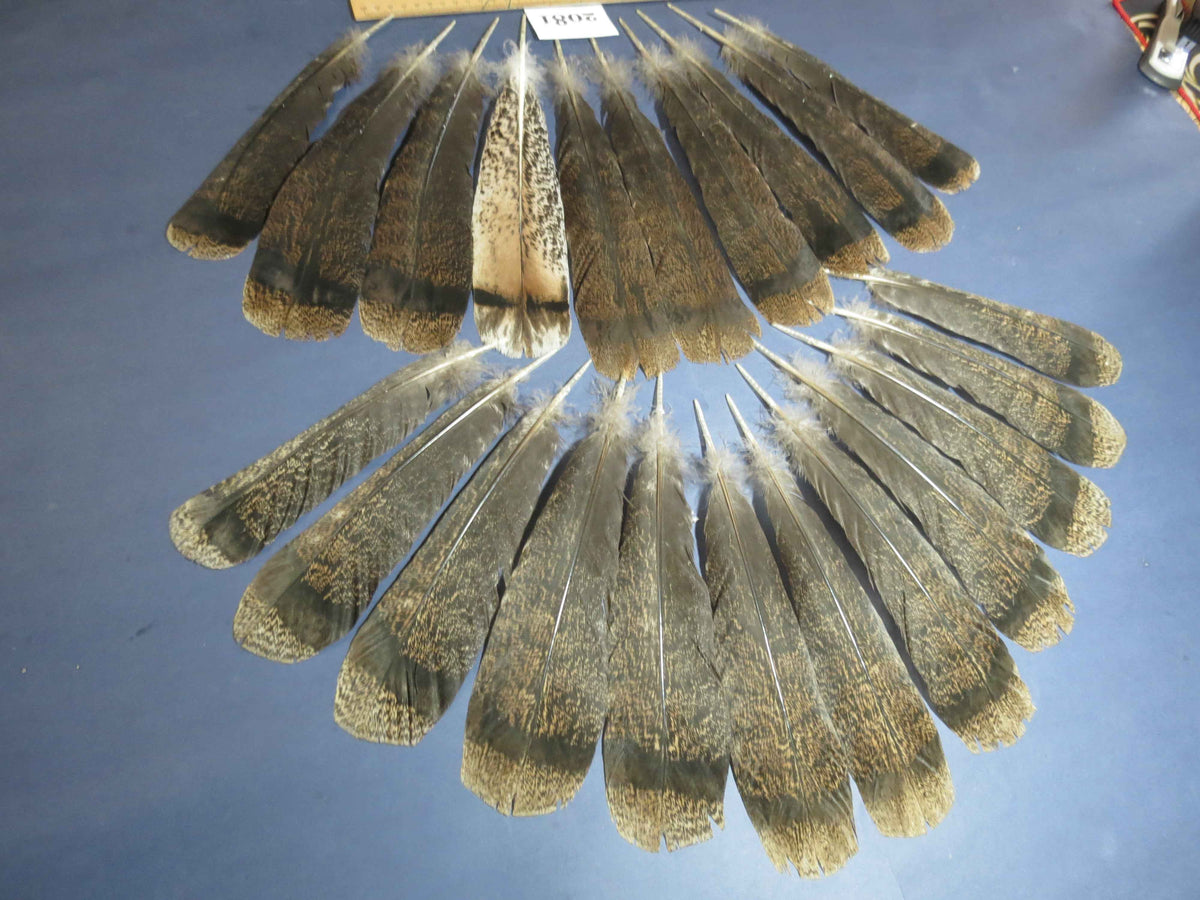 22 Pcs Turkey Tail Feathers, Fly Tying Material,Craft Feathers,Natural Turkey Feathers (2081)