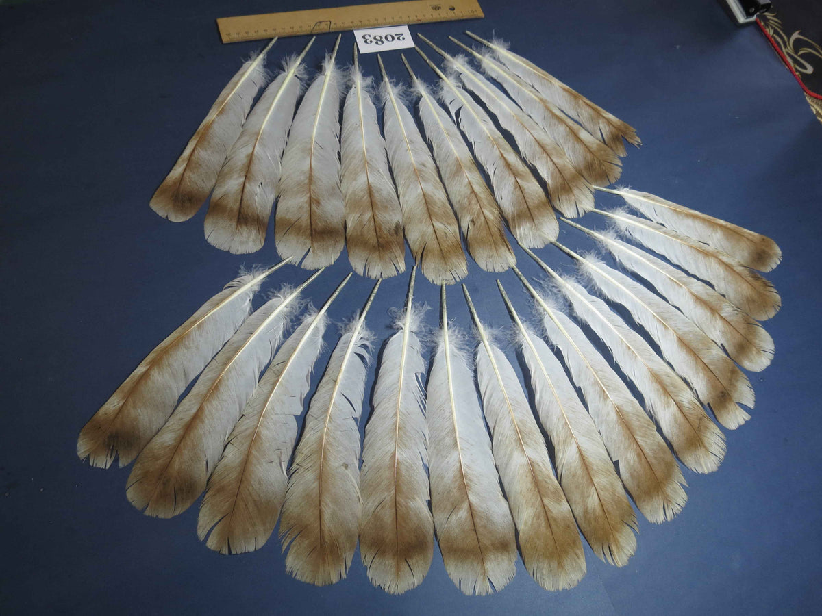 24 Pcs Turkey Tail Feathers, Fly Tying Material,Craft Feathers,Natural Turkey Feathers (2083)