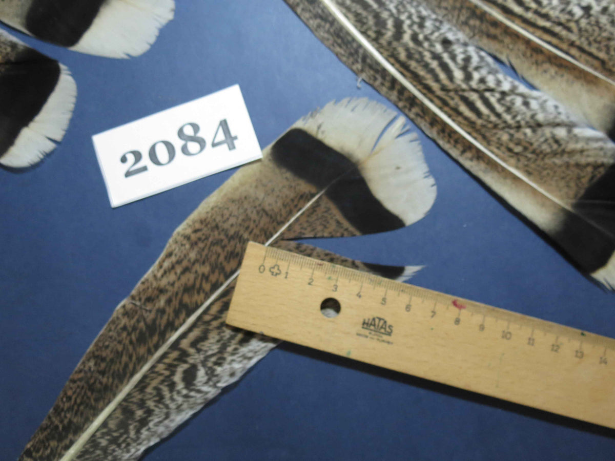24 Pcs Turkey Tail Feathers, Fly Tying Material,Craft Feathers,Natural Turkey Feathers (2084)
