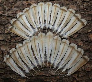 24 Pcs Turkey Tail Feathers, Fly Tying Material,Craft Feathers,Natural Turkey Feathers (2088)
