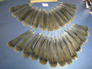 28 Pcs Turkey Tail Feathers, Fly Tying Material,Craft Feathers,Natural Turkey Feathers (2089)
