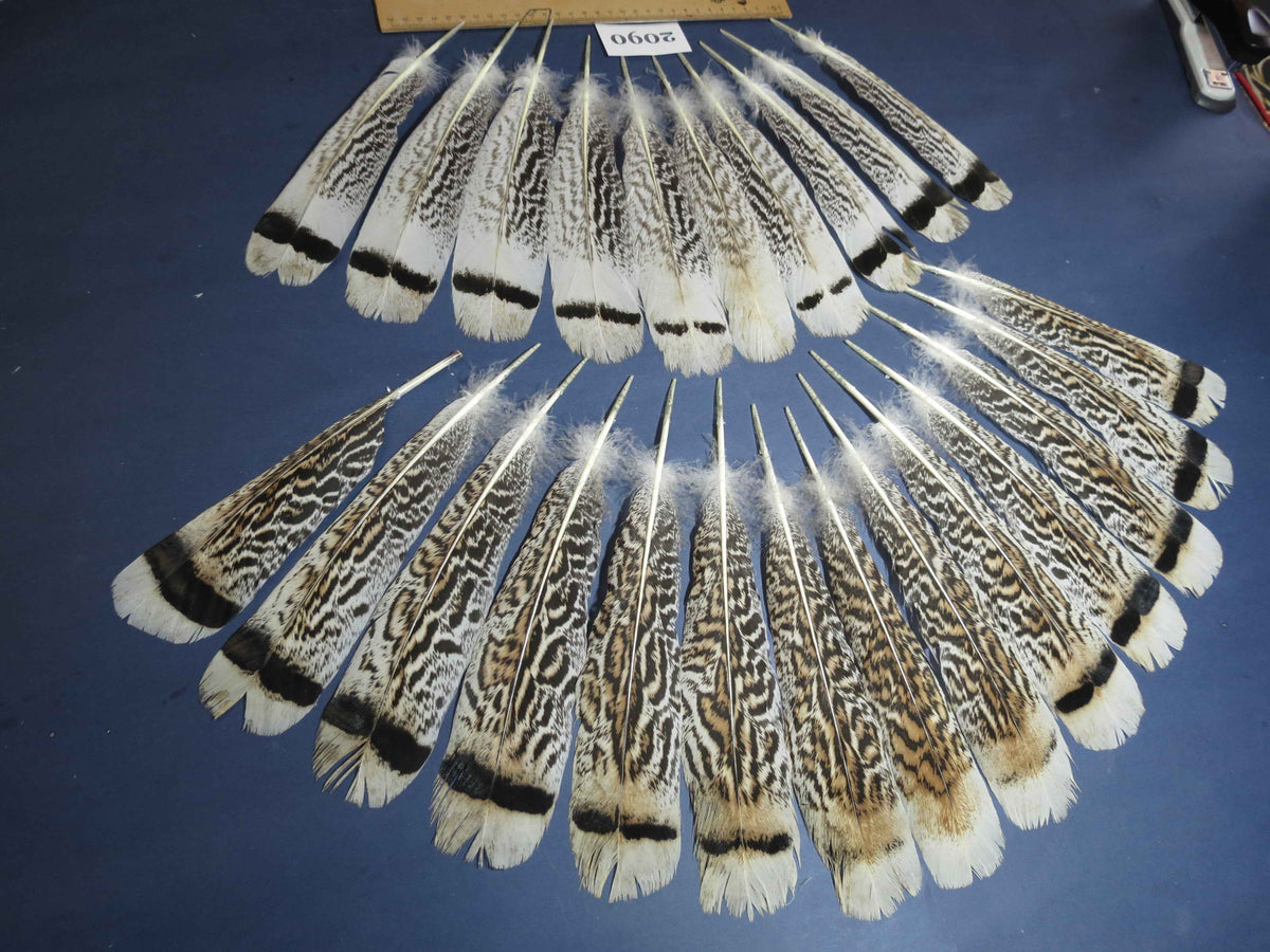 24 Pcs Turkey Tail Feathers, Fly Tying Material,Craft Feathers,Natural Turkey Feathers (2090)
