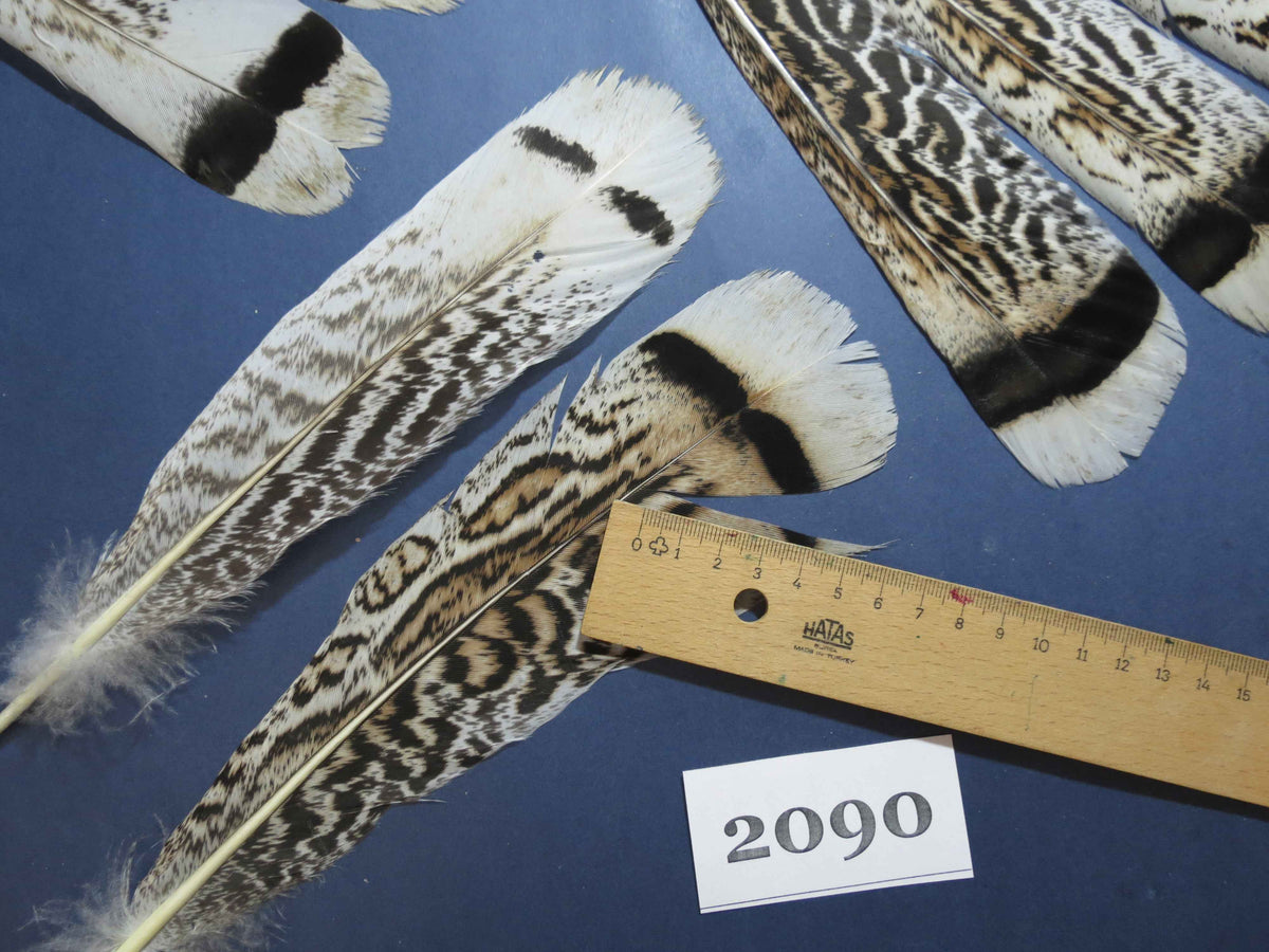 24 Pcs Turkey Tail Feathers, Fly Tying Material,Craft Feathers,Natural Turkey Feathers (2090)