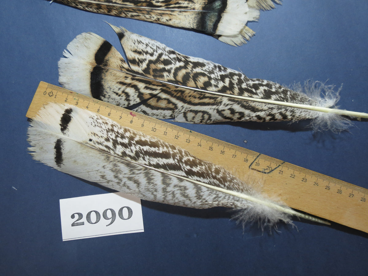 24 Pcs Turkey Tail Feathers, Fly Tying Material,Craft Feathers,Natural Turkey Feathers (2090)