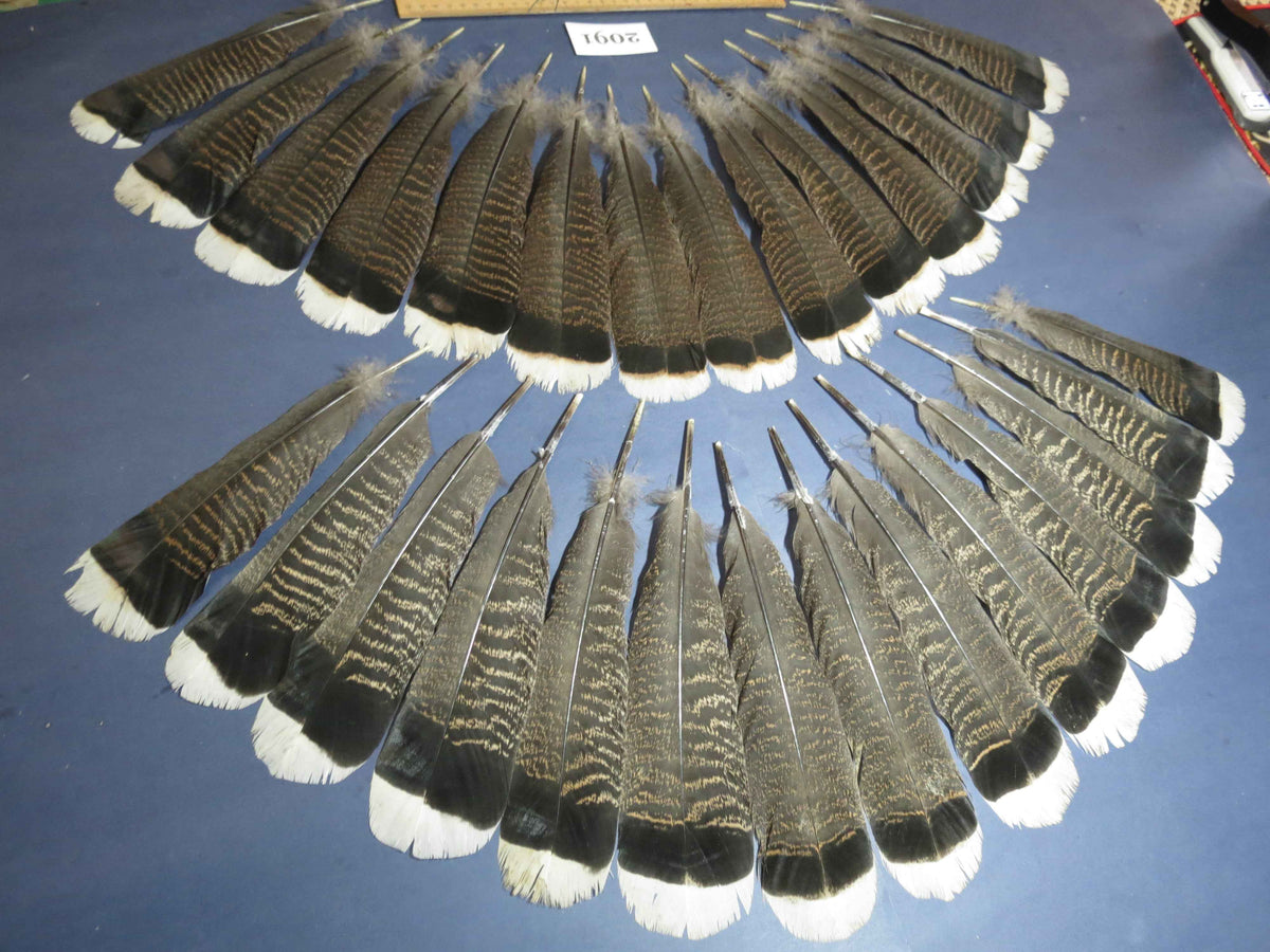 28 Pcs Turkey Tail Feathers, Fly Tying Material,Craft Feathers,Natural Turkey Feathers (2091)