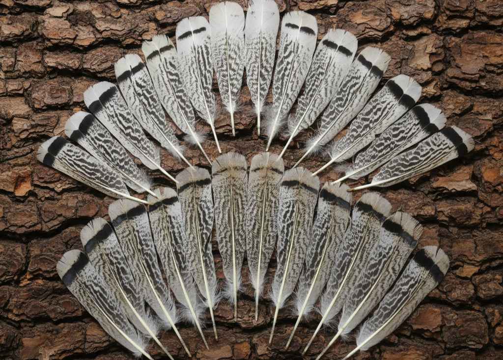 26 Pcs Turkey Tail Feathers, Fly Tying Material,Craft Feathers,Natural Turkey Feathers (2093)
