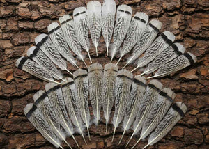 26 Pcs Turkey Tail Feathers, Fly Tying Material,Craft Feathers,Natural Turkey Feathers (2093)