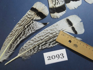 26 Pcs Turkey Tail Feathers, Fly Tying Material,Craft Feathers,Natural Turkey Feathers (2093)