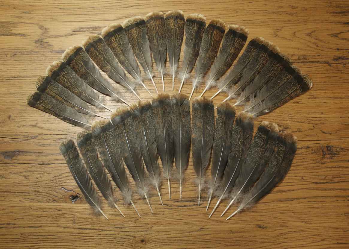 28 Pcs Turkey Tail Feathers, Fly Tying Material,Craft Feathers,Natural Turkey Feathers (2094)