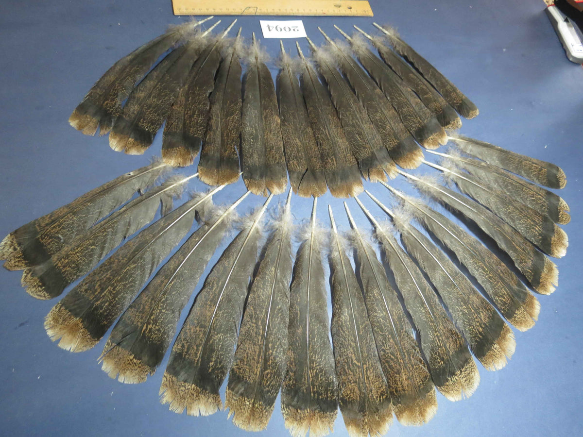 28 Pcs Turkey Tail Feathers, Fly Tying Material,Craft Feathers,Natural Turkey Feathers (2094)