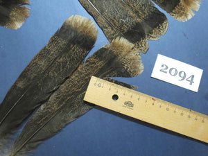 28 Pcs Turkey Tail Feathers, Fly Tying Material,Craft Feathers,Natural Turkey Feathers (2094)