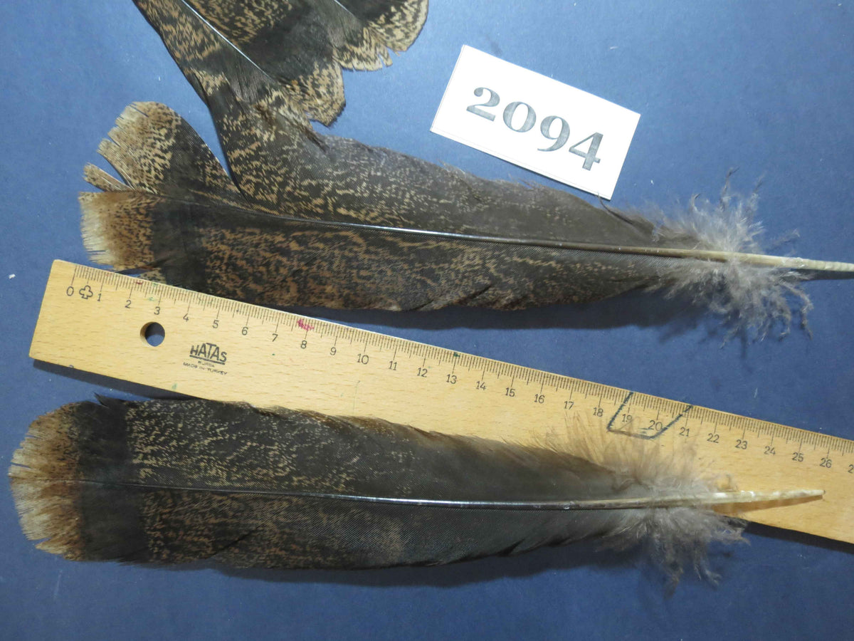 28 Pcs Turkey Tail Feathers, Fly Tying Material,Craft Feathers,Natural Turkey Feathers (2094)