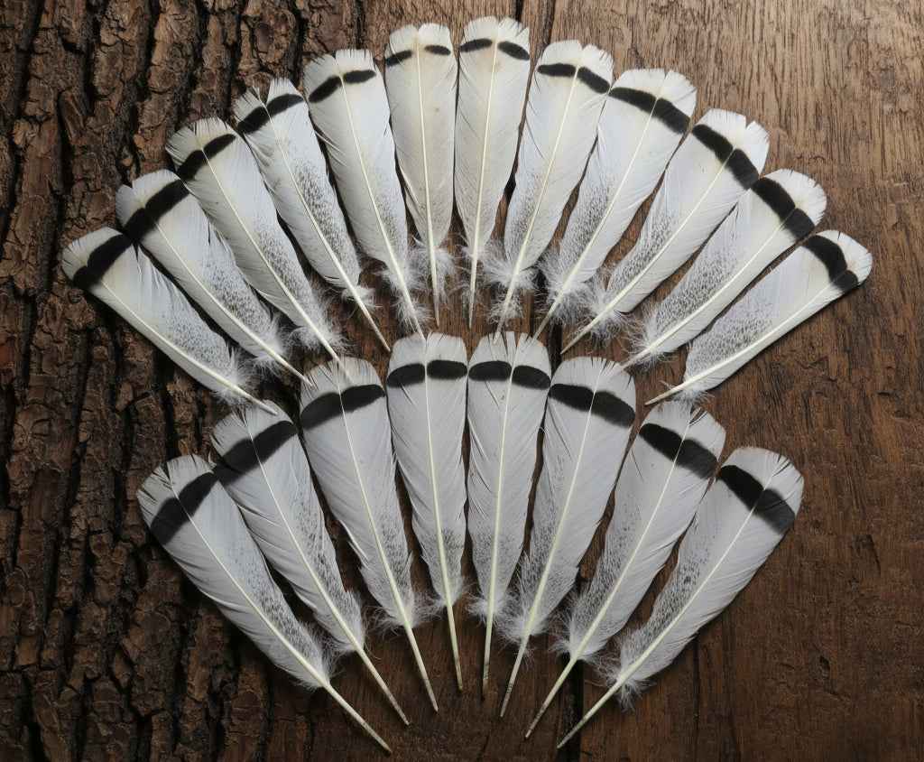 20 Pcs Turkey Tail Feathers, Fly Tying Material,Craft Feathers,Natural Turkey Feathers (2095)