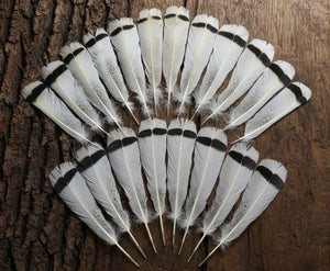 20 Pcs Turkey Tail Feathers, Fly Tying Material,Craft Feathers,Natural Turkey Feathers (2095)