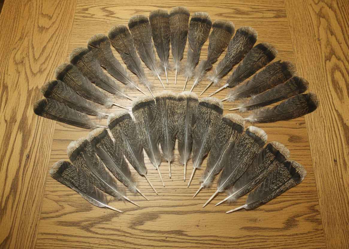 28 Pcs Turkey Tail Feathers, Fly Tying Material,Craft Feathers,Natural Turkey Feathers (2097)