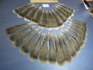 28 Pcs Turkey Tail Feathers, Fly Tying Material,Craft Feathers,Natural Turkey Feathers (2097)