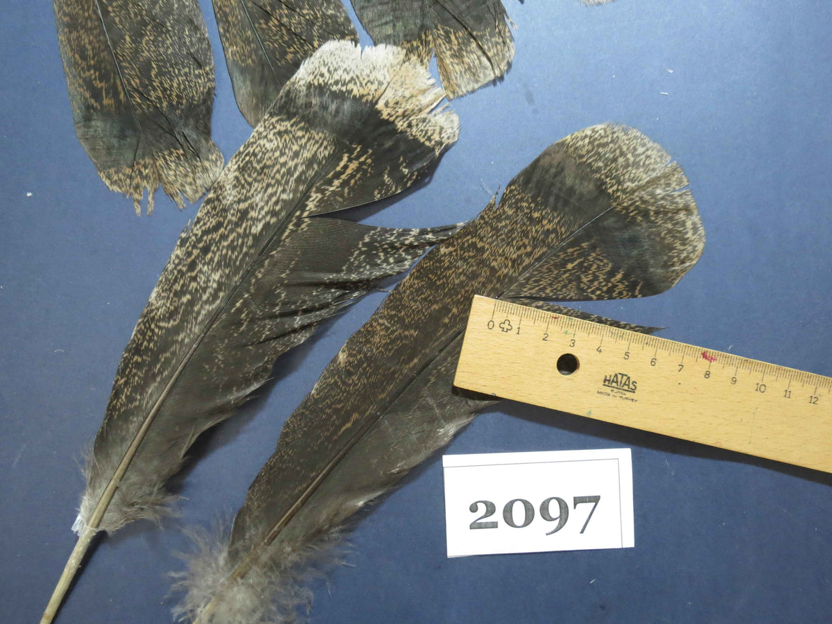28 Pcs Turkey Tail Feathers, Fly Tying Material,Craft Feathers,Natural Turkey Feathers (2097)