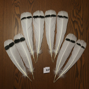 natural turkey feathers