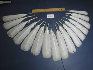 16 Pcs White Turkey Tail Feathers, Turkey Feathers,Fly Tying Material,Craft Feathers,Natural Turkey Feathers (W-519)
