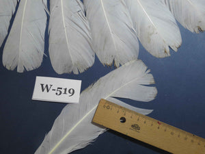 16 Pcs White Turkey Tail Feathers, Turkey Feathers,Fly Tying Material,Craft Feathers,Natural Turkey Feathers (W-519)