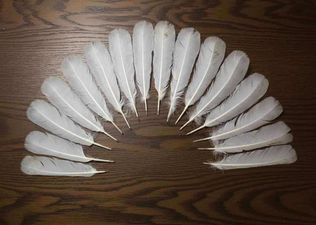 16 Pcs White Turkey Tail Feathers, Turkey Feathers,Fly Tying Material,Craft Feathers,Natural Turkey Feathers (W-520)