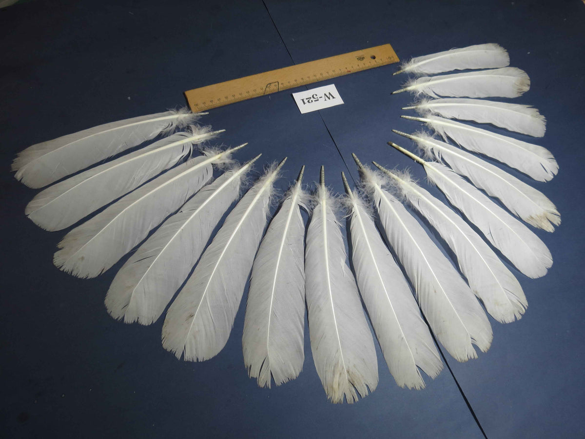 16 Pcs White Turkey Tail Feathers, Turkey Feathers,Fly Tying Material,Craft Feathers,Natural Turkey Feathers (W-521)