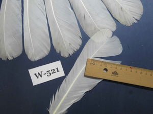 16 Pcs White Turkey Tail Feathers, Turkey Feathers,Fly Tying Material,Craft Feathers,Natural Turkey Feathers (W-521)