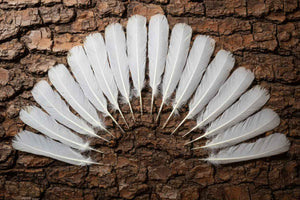 16 Pcs White Turkey Tail Feathers, Turkey Feathers,Fly Tying Material,Craft Feathers,Natural Turkey Feathers (W-522)