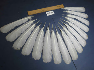16 Pcs White Turkey Tail Feathers, Turkey Feathers,Fly Tying Material,Craft Feathers,Natural Turkey Feathers (W-522)