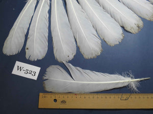16 Pcs White Turkey Tail Feathers, Turkey Feathers,Fly Tying Material,Craft Feathers,Natural Turkey Feathers (W-523)