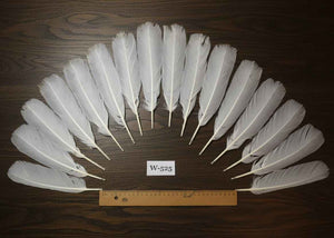 16 Pcs White Turkey Tail Feathers, Turkey Feathers,Fly Tying Material,Craft Feathers,Natural Turkey Feathers (W-525)