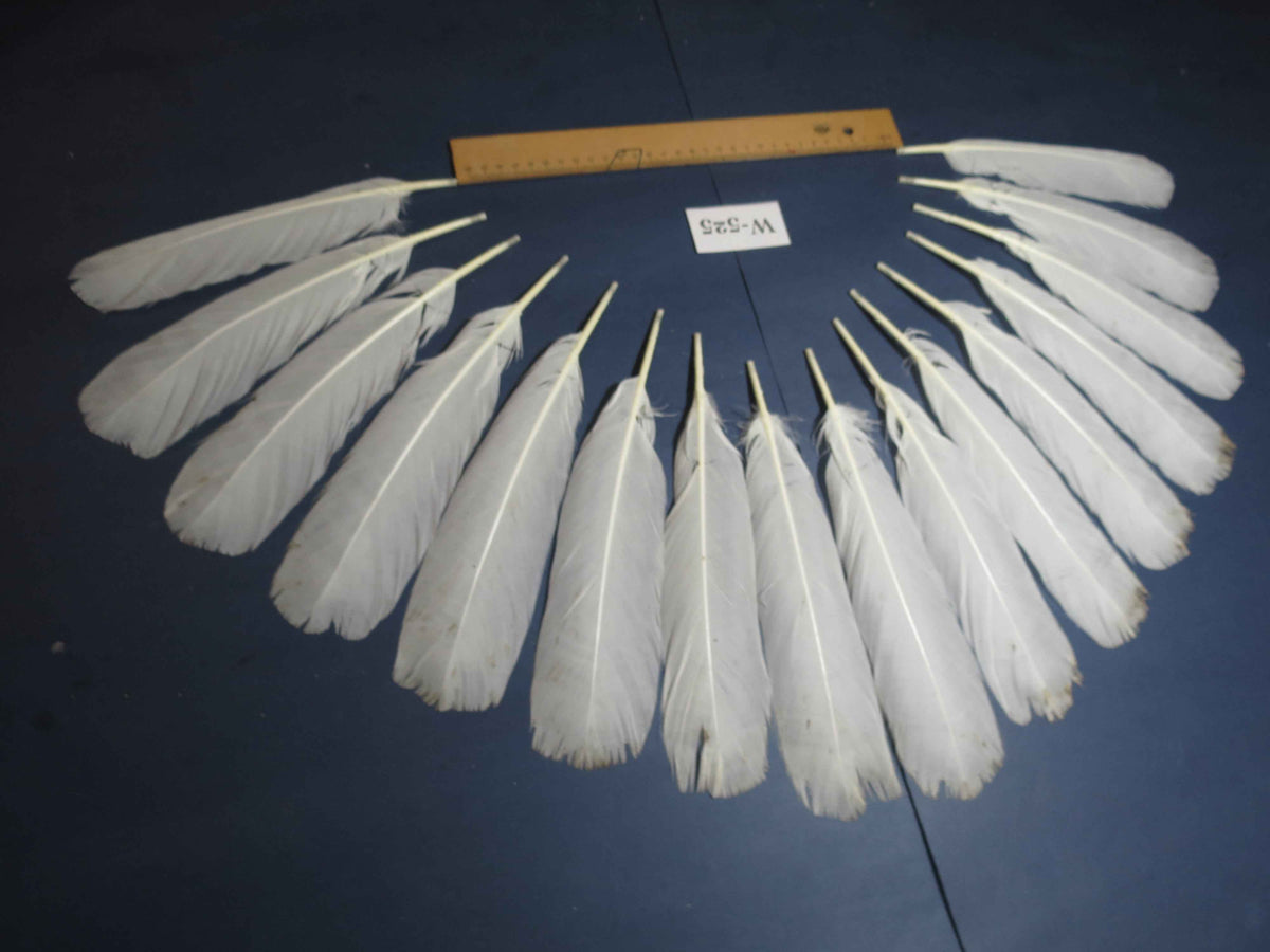16 Pcs White Turkey Tail Feathers, Turkey Feathers,Fly Tying Material,Craft Feathers,Natural Turkey Feathers (W-525)