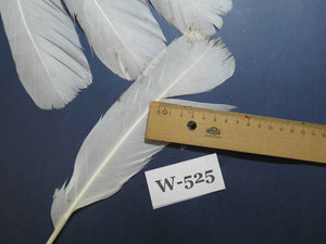 16 Pcs White Turkey Tail Feathers, Turkey Feathers,Fly Tying Material,Craft Feathers,Natural Turkey Feathers (W-525)
