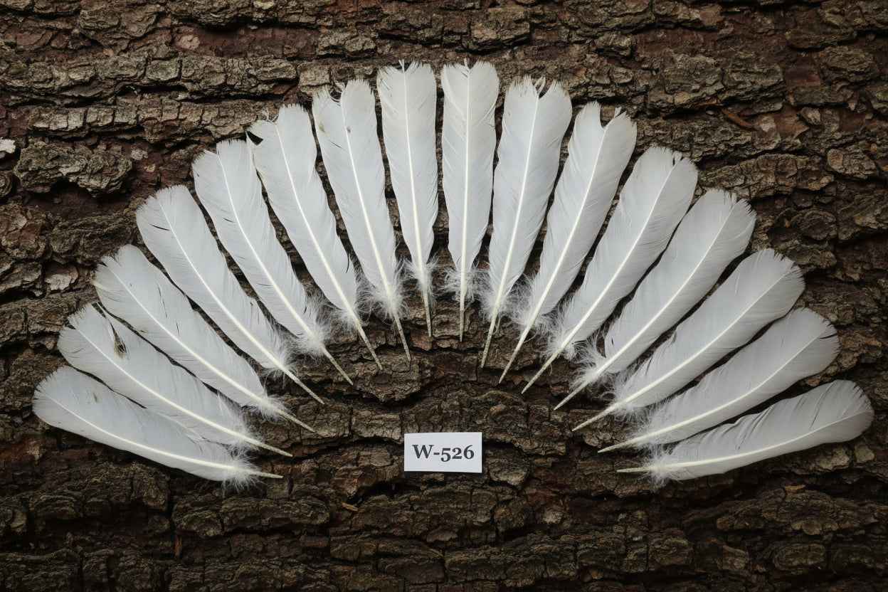 16 Pcs White Turkey Tail Feathers, Turkey Feathers,Fly Tying Material,Craft Feathers,Natural Turkey Feathers (W-526)